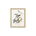 Picture of Two Yellow Warbler Birds _GroupedProduct_Rectangle_Portrait_Framed_Matted_