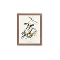 Picture of Two Yellow Warbler Birds _GroupedProduct_Rectangle_Portrait_Framed_Matted_