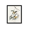 Picture of Two Yellow Warbler Birds _GroupedProduct_Rectangle_Portrait_Framed_Matted_