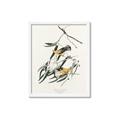 Picture of Two Yellow Warbler Birds _GroupedProduct_Rectangle_Portrait_Framed_Matted_
