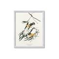 Picture of Two Yellow Warbler Birds _GroupedProduct_Rectangle_Portrait_Framed_Matted_
