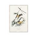 Picture of Two Yellow Warbler Birds _GroupedProduct_Rectangle_Portrait_Framed_Matted_