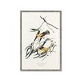 Picture of Two Yellow Warbler Birds _GroupedProduct_Rectangle_Portrait_Framed_Matted_