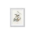 Picture of Two Yellow Warbler Birds _GroupedProduct_Rectangle_Portrait_Framed_Matted_