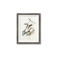 Picture of Two Yellow Warbler Birds _GroupedProduct_Rectangle_Portrait_Framed_Matted_