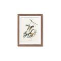Picture of Two Yellow Warbler Birds _GroupedProduct_Rectangle_Portrait_Framed_Matted_