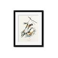 Picture of Two Yellow Warbler Birds _GroupedProduct_Rectangle_Portrait_Framed_Matted_