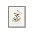 Picture of Two Yellow Warbler Birds _GroupedProduct_Rectangle_Portrait_Framed_Matted_