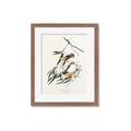 Picture of Two Yellow Warbler Birds _GroupedProduct_Rectangle_Portrait_Framed_Matted_