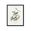 Picture of Two Yellow Warbler Birds _GroupedProduct_Rectangle_Portrait_Framed_Matted_