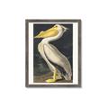 Picture of Vintage White Pelican _GroupedProduct_Rectangle_Portrait_Framed_Matted_