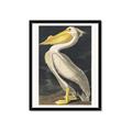 Picture of Vintage White Pelican _GroupedProduct_Rectangle_Portrait_Framed_Matted_