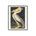 Picture of Vintage White Pelican _GroupedProduct_Rectangle_Portrait_Framed_Matted_
