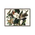 Picture of Black Billed Cuckoo Bird _GroupedProduct_Rectangle_Landscape_Framed_Matted_