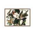 Picture of Black Billed Cuckoo Bird _GroupedProduct_Rectangle_Landscape_Framed_Matted_