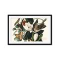 Picture of Black Billed Cuckoo Bird _GroupedProduct_Rectangle_Landscape_Framed_Matted_