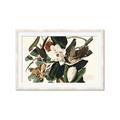 Picture of Black Billed Cuckoo Bird _GroupedProduct_Rectangle_Landscape_Framed_Matted_