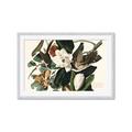 Picture of Black Billed Cuckoo Bird _GroupedProduct_Rectangle_Landscape_Framed_Matted_