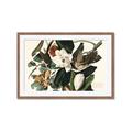 Picture of Black Billed Cuckoo Bird _GroupedProduct_Rectangle_Landscape_Framed_Matted_