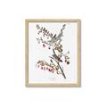 Picture of Vintage Tree Sparrow _GroupedProduct_Rectangle_Portrait_Framed_Matted_