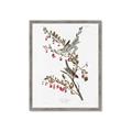 Picture of Vintage Tree Sparrow _GroupedProduct_Rectangle_Portrait_Framed_Matted_