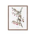Picture of Vintage Tree Sparrow _GroupedProduct_Rectangle_Portrait_Framed_Matted_