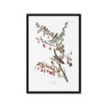 Picture of Vintage Tree Sparrow _GroupedProduct_Rectangle_Portrait_Framed_Matted_