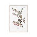Picture of Vintage Tree Sparrow _GroupedProduct_Rectangle_Portrait_Framed_Matted_