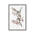 Picture of Vintage Tree Sparrow _GroupedProduct_Rectangle_Portrait_Framed_Matted_