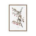 Picture of Vintage Tree Sparrow _GroupedProduct_Rectangle_Portrait_Framed_Matted_