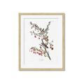 Picture of Vintage Tree Sparrow _GroupedProduct_Rectangle_Portrait_Framed_Matted_
