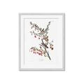 Picture of Vintage Tree Sparrow _GroupedProduct_Rectangle_Portrait_Framed_Matted_