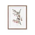 Picture of Vintage Tree Sparrow _GroupedProduct_Rectangle_Portrait_Framed_Matted_