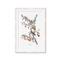 Picture of Vintage Tree Sparrow _GroupedProduct_Rectangle_Portrait_Framed_Matted_