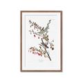 Picture of Vintage Tree Sparrow _GroupedProduct_Rectangle_Portrait_Framed_Matted_