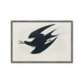 Picture of Vintage Black Sooty Tern _GroupedProduct_Rectangle_Landscape_Framed_Matted_