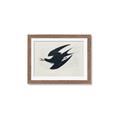Picture of Vintage Black Sooty Tern _GroupedProduct_Rectangle_Landscape_Framed_Matted_