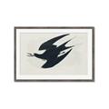 Picture of Vintage Black Sooty Tern _GroupedProduct_Rectangle_Landscape_Framed_Matted_