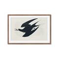 Picture of Vintage Black Sooty Tern _GroupedProduct_Rectangle_Landscape_Framed_Matted_