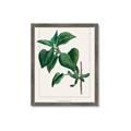 Picture of Nostalgic Green Lilac Leaves _GroupedProduct_Rectangle_Portrait_Framed_Matted_