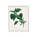 Picture of Nostalgic Green Lilac Leaves _GroupedProduct_Rectangle_Portrait_Framed_Matted_