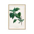 Picture of Nostalgic Green Lilac Leaves _GroupedProduct_Rectangle_Portrait_Framed_Matted_