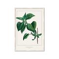 Picture of Nostalgic Green Lilac Leaves _GroupedProduct_Rectangle_Portrait_Framed_Matted_