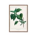Picture of Nostalgic Green Lilac Leaves _GroupedProduct_Rectangle_Portrait_Framed_Matted_