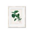 Picture of Nostalgic Green Lilac Leaves _GroupedProduct_Rectangle_Portrait_Framed_Matted_