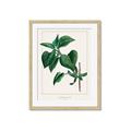 Picture of Nostalgic Green Lilac Leaves _GroupedProduct_Rectangle_Portrait_Framed_Matted_
