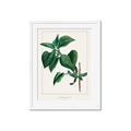 Picture of Nostalgic Green Lilac Leaves _GroupedProduct_Rectangle_Portrait_Framed_Matted_