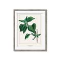 Picture of Nostalgic Green Lilac Leaves _GroupedProduct_Rectangle_Portrait_Framed_Matted_