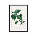 Picture of Nostalgic Green Lilac Leaves _GroupedProduct_Rectangle_Portrait_Framed_Matted_