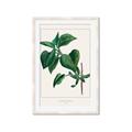 Picture of Nostalgic Green Lilac Leaves _GroupedProduct_Rectangle_Portrait_Framed_Matted_